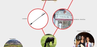 femme cougar cheval