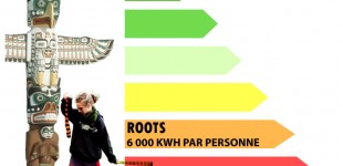 TOTEM ENERGETIQUE ROOTS