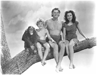 deuxdegres_developpement-personnel_famille-tarzan