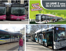 Tarzan, les Lianes et la nature en ville Tarzan, les Lianes et la nature en ville